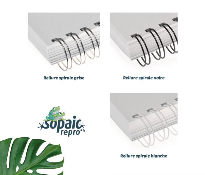 reliure wire o couleurs